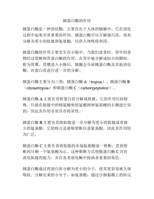 胰蛋白酶的作用