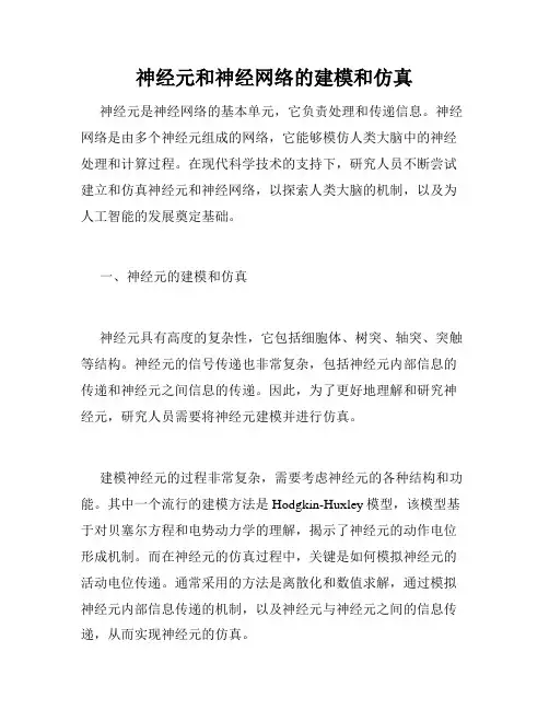 神经元和神经网络的建模和仿真