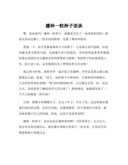 播种一粒种子语录