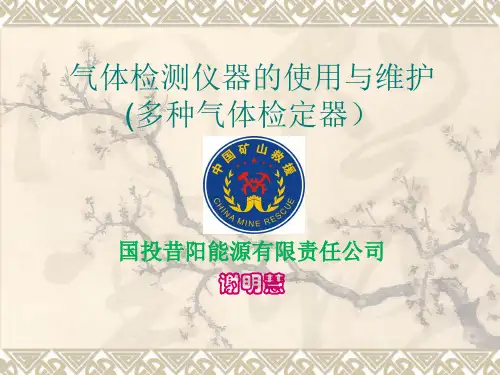 一氧化碳检测仪器的使用与维护