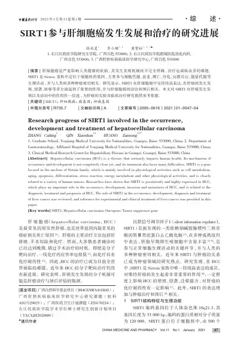 SIRT1参与肝细胞癌发生发展和治疗的研究进展