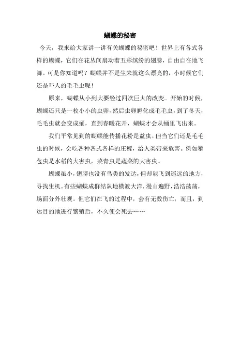 蝴蝶的秘密