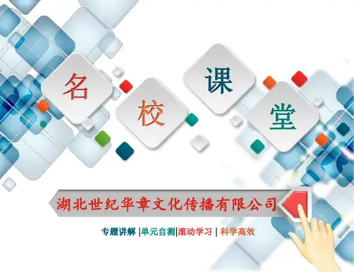 小专题(八) 求锐角的三角函数值的常用方法