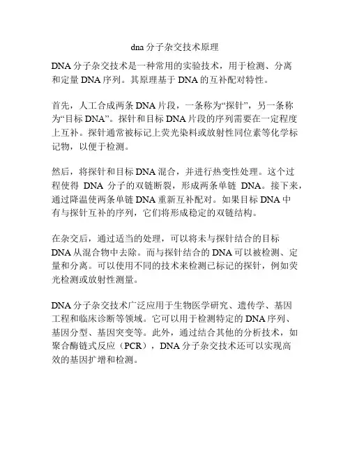 dna分子杂交技术原理