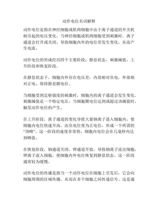 动作电位名词解释