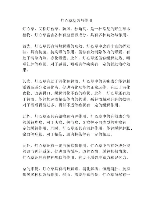 灯心草功效与作用