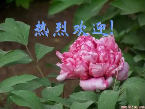 初三励志班会1 35页PPT文档