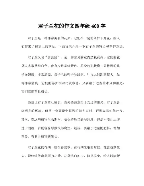 君子兰花的作文四年级400字