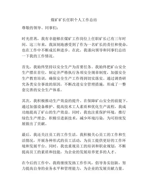 煤矿矿长任职个人工作总结