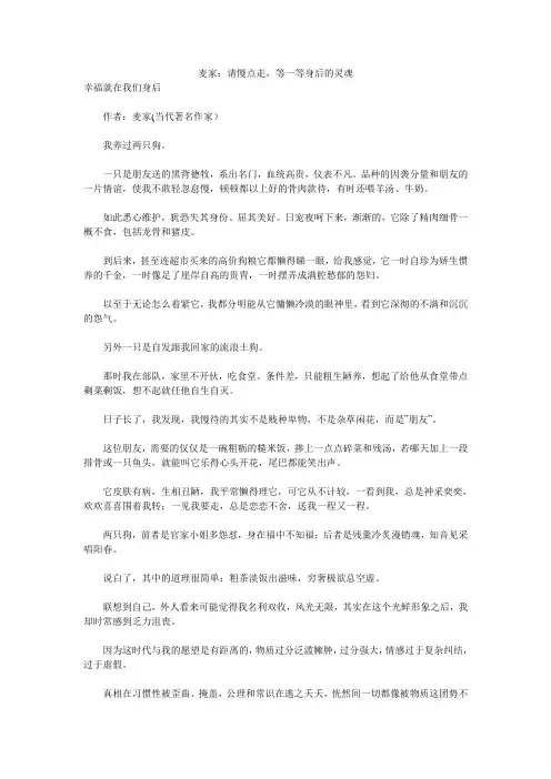 麦家：请慢点走,等一等身后的灵魂 