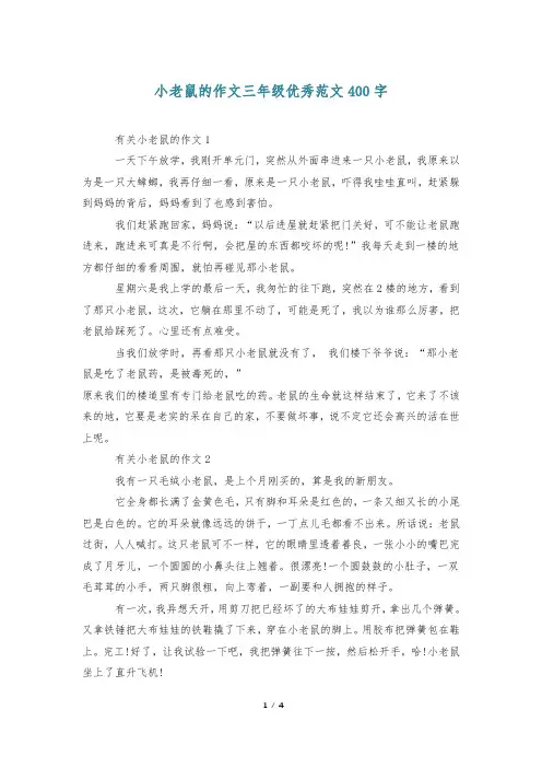 小老鼠的作文三年级优秀范文400字