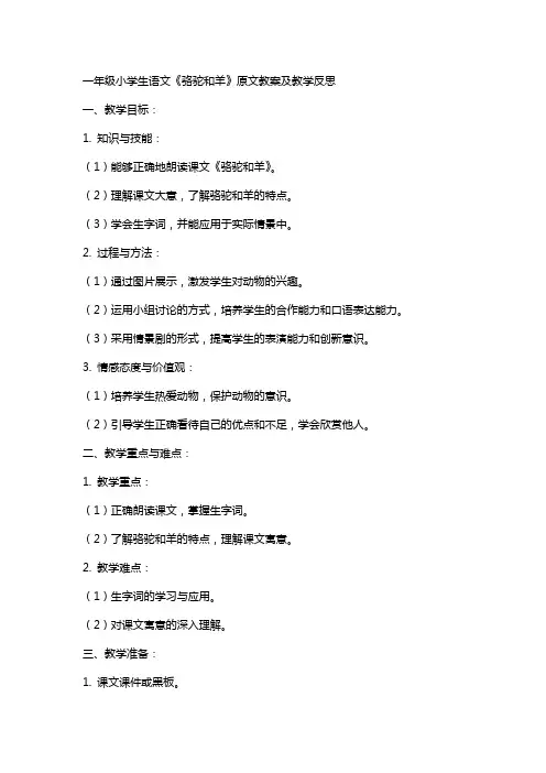 一年级小学生语文《骆驼和羊》原文教案及教学反思