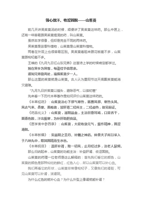 强心敛汗、收涩固脱——山茱萸