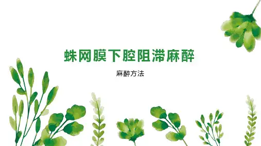 蛛网膜下腔阻滞麻醉