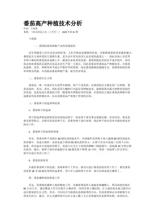 番茄高产种植技术分析