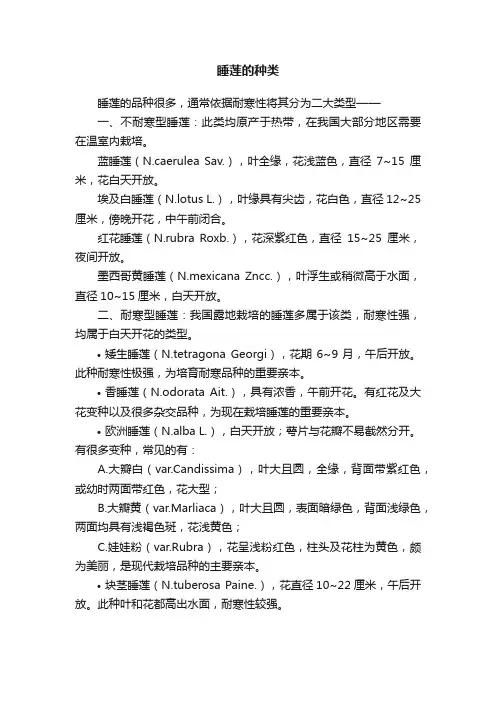 睡莲的种类