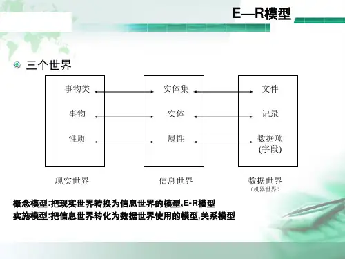 E-R图绘制