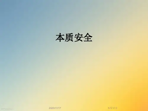 本质安全