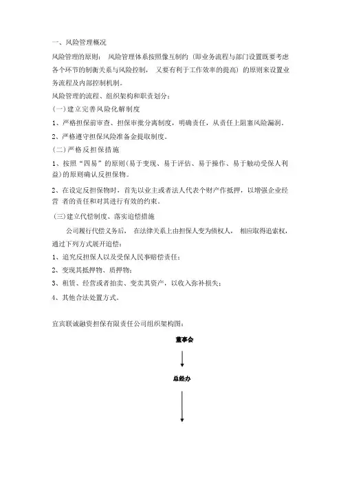 融资担保公司全面风险管理