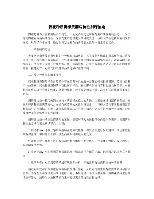 棉花种质资源黄萎病抗性剖秆鉴定