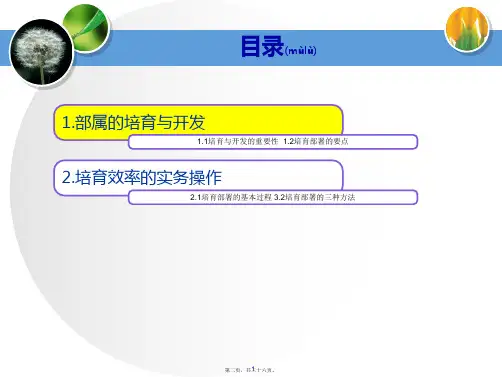 中层管理干部培训讲义版PPT