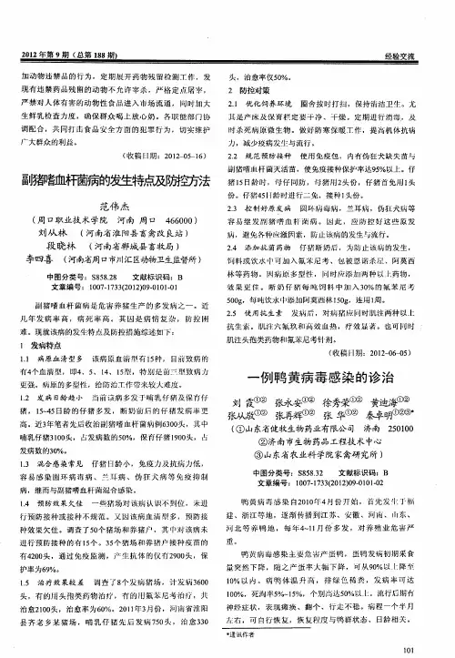 一例鸭黄病毒感染的诊治