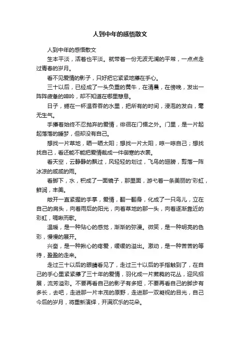 人到中年的感悟散文
