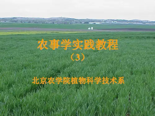 盆栽试验方法