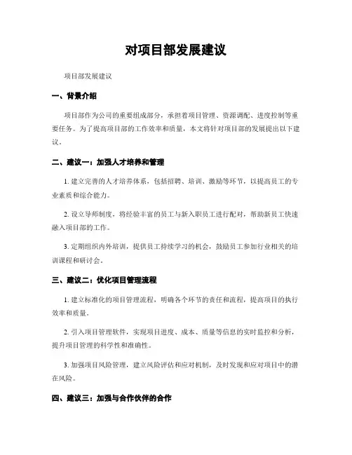 对项目部发展建议