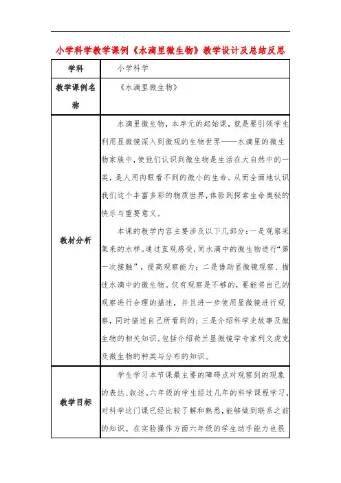 小学科学教学课例《水滴里微生物》课程思政核心素养教学设计及总结反思
