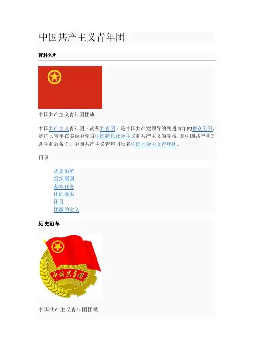 中国共青团简介