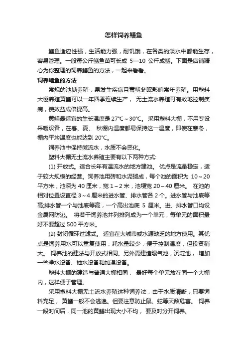 怎样饲养鳝鱼