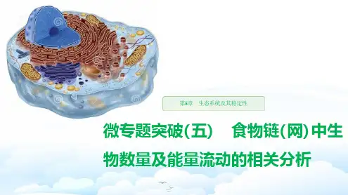 高中生物必修3优质课件：微专题突破(五) 食物链(网)中生物数量及能量流动的相关分析