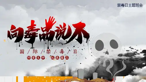 6月26日国际禁毒日主题班会向毒品说不宣传课件PPT