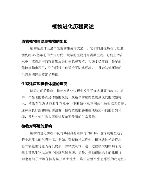 植物进化历程简述
