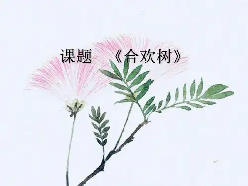 语文版八年级下册语文：4. 合欢树