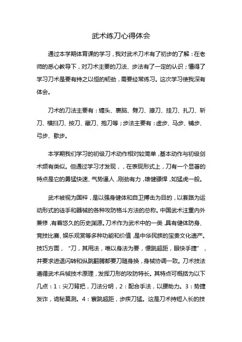 武术练刀心得体会