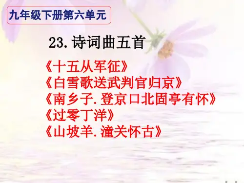诗词曲五首《十五从军征》《白雪歌送武判官归京》《南乡子登京口北固亭有怀》《过零丁洋》《山坡羊潼关怀古