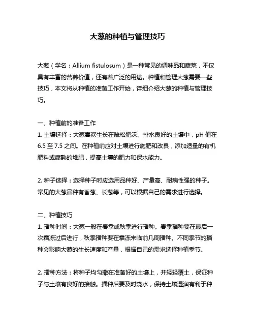 大葱的种植与管理技巧