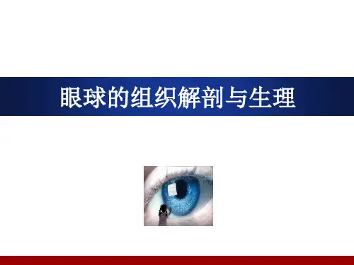 眼球的组织解剖与生理