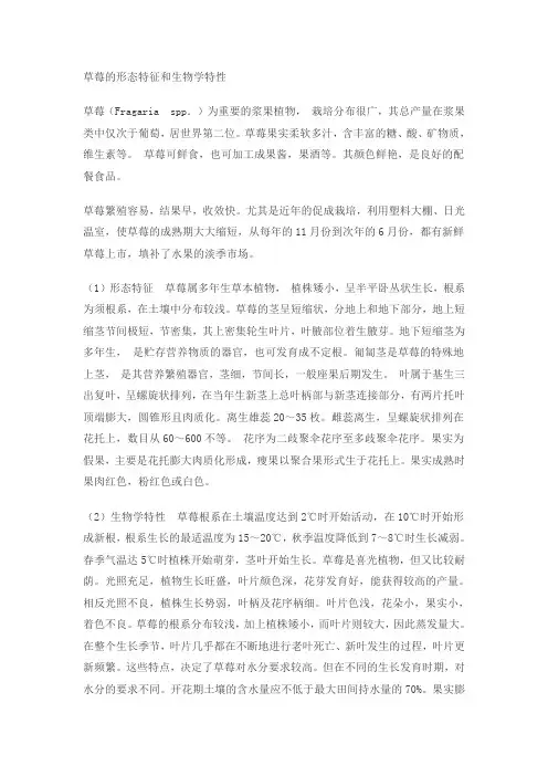 草莓的植物组织培养