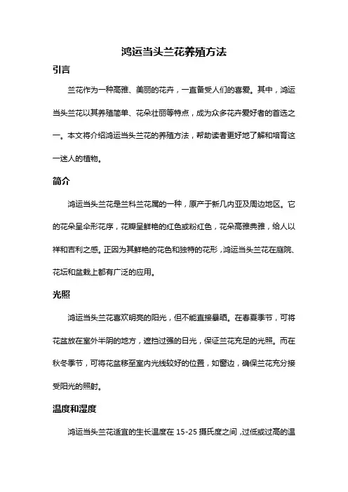 鸿运当头兰花养殖方法