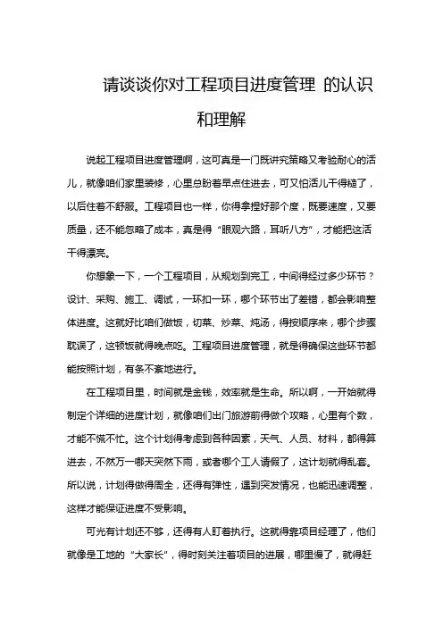 请谈谈你对工程项目进度管理 的认识和理解