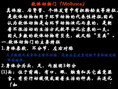 动物学6软体动物门Mollusca