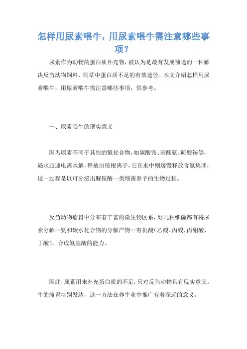 怎样用尿素喂牛,用尿素喂牛需注意哪些事项？