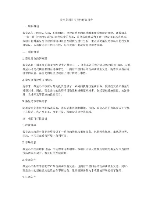 秦皇岛项目可行性研究报告