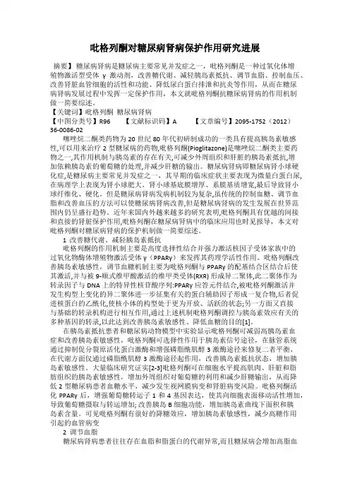吡格列酮对糖尿病肾病保护作用研究进展