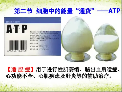 人教版高中生物必修一 5.2细胞的能量“通货”―ATPPPT(20张)优质课件