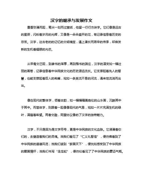 汉字的继承与发展作文
