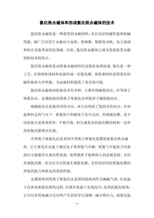氮化铁永磁体和形成氮化铁永磁体的技术
